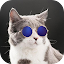 Cat Sounds - Cat Ringtones