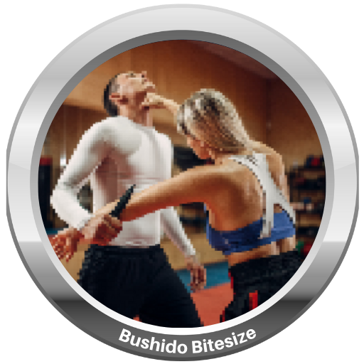 Bushido Bitesize logo