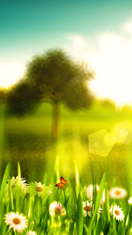 Spring Live Wallpaper - 8.0 - (Android)