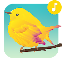 Птица звучит мелодии