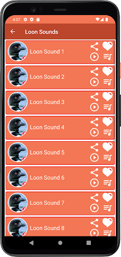 Loon Sounds