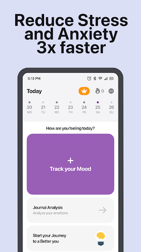 Mood Tracker AI Journal - Fsol ekran görüntüsü