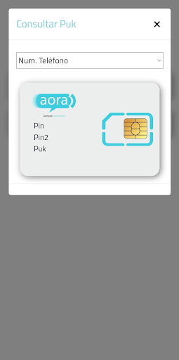 Aora Screen 2