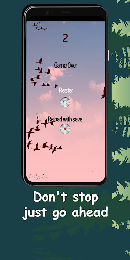 Avoid Birds Screen 2