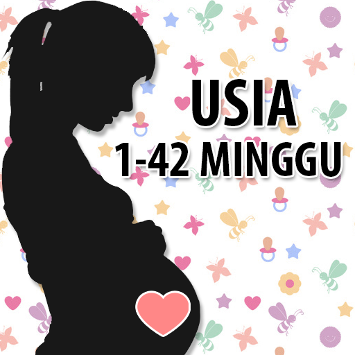 Panduan Perkembangan Janin Ibu