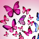 pink butterfly wallpapers icon