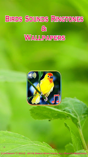 Android application Birds Sounds Ringtones screenshort