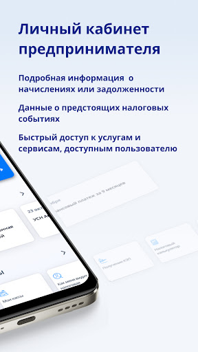 Личный кабинет предпринимателя Screen 2
