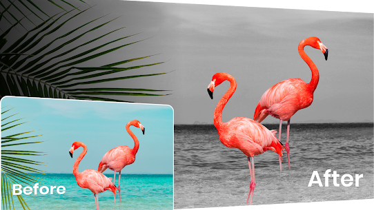 Color Pop effects photo editor v4.0 Apk (VIP Pro Unlocked/All) Free For Android 5