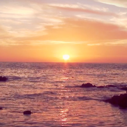 Beach Sunrise Live Wallpaper logo