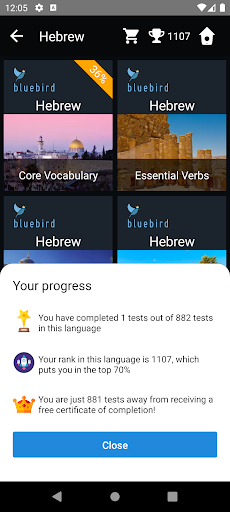 Hebrew Language Tests Screen 3