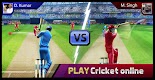 screenshot of Smash Cricket