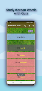 Korean Word Beginner Quiz Pro Apk 3