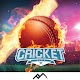 Cricket Championship League