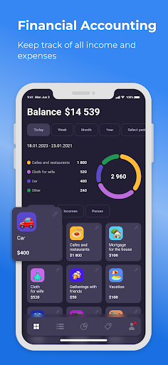 MyMoneyManager expenses income 1