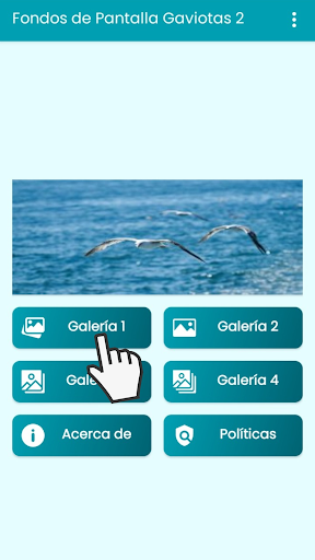 Android application Fondos de Pantalla Gaviotas 2. screenshort