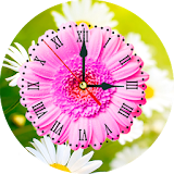 Daisy Clock Live Wallpaper icon