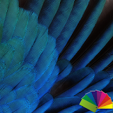 Feathers Blue Xperien Theme icon