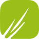 WealthBuddy Download on Windows