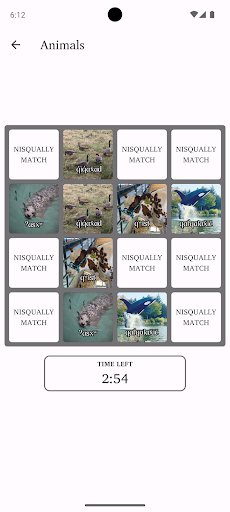 Nisqually Match Screen 3