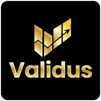 Validus инвестиции