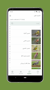 صورة لقطة الشاشة