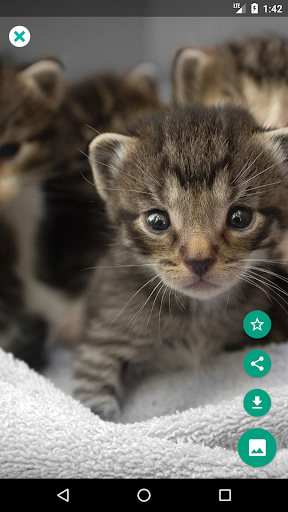 Wallpapers HD Backgrounds