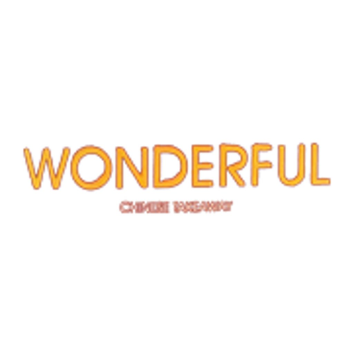 Wonderful - Google Play 앱