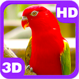 Cute Red Parrot on Next Branch icon