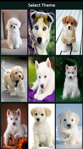 Puppy Dog Lock Screen Screenshot 1 - AppWisp.com
