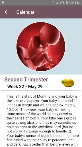 My SoFHA Pregnancy Journey