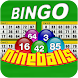 Nine Balls Video Bingo - Androidアプリ
