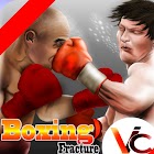 3D Boxing 4.2