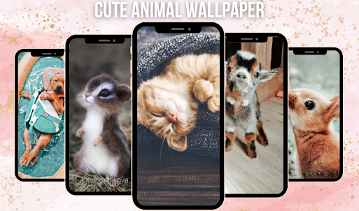 Cute Animal Wallpaper