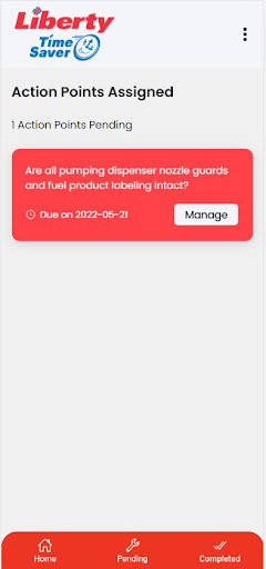 Liberty Action Planner Screen 2