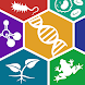 可視化生物学 - Androidアプリ