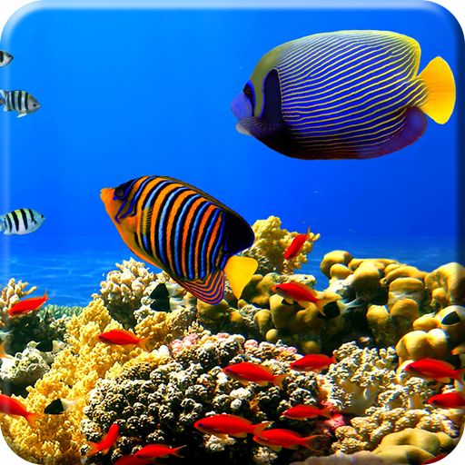 Aquarium Undersea wallpaper logo