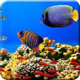 Free Aquarium Undersea LWP PRO icon