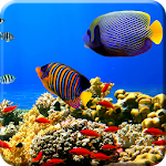 Free Aquarium Undersea LWP PRO Apk