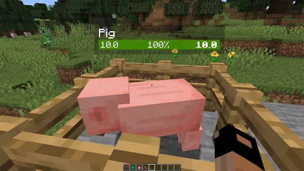 Neat Mod Minecraft screenshot 14
