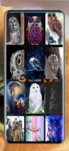 Owl Mobile Wallpaper HD