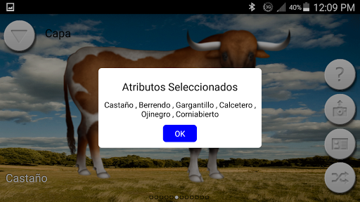 MiToroBravo Screen 2