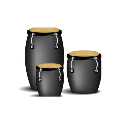 Congas & Bongos Percussion