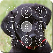 Cute Black Labrador Puppies Screen Lock  Icon