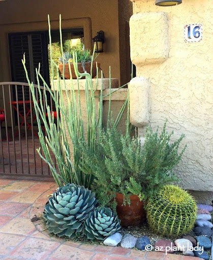 Android application Cactus Garden screenshort