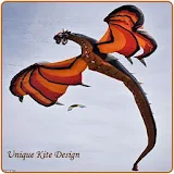 Unique Kite Design icon