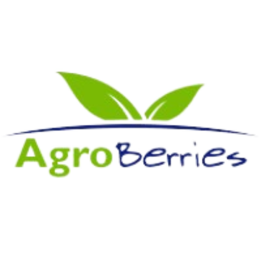 Agroberries Comedor MX logo