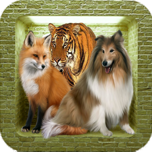 Animal Sounds 1.3.0 Icon