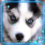 Cover Image of Tải xuống Husky Puppies 1.4 APK