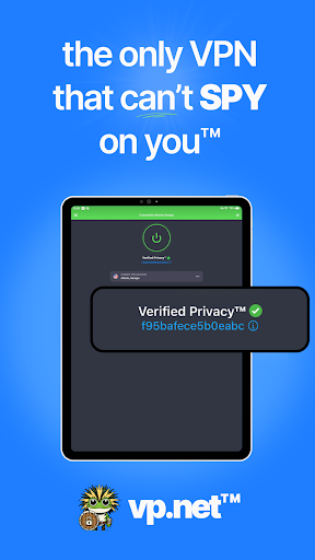 VP.NET VPN screenshot 6